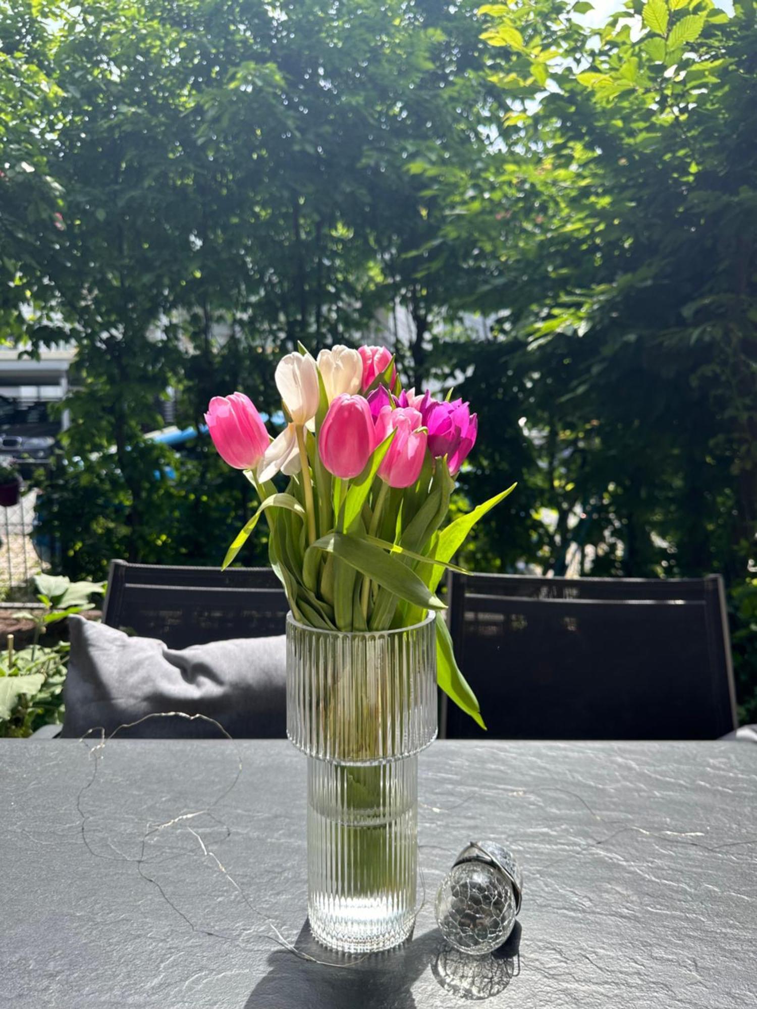 Luxus I Wohnkueche I Garten I Terrasse I Parkplatz Fuerth Luaran gambar